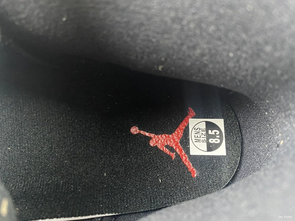 - 12 Playoffs CT8013-006 Retro (2022) Jordan 1107